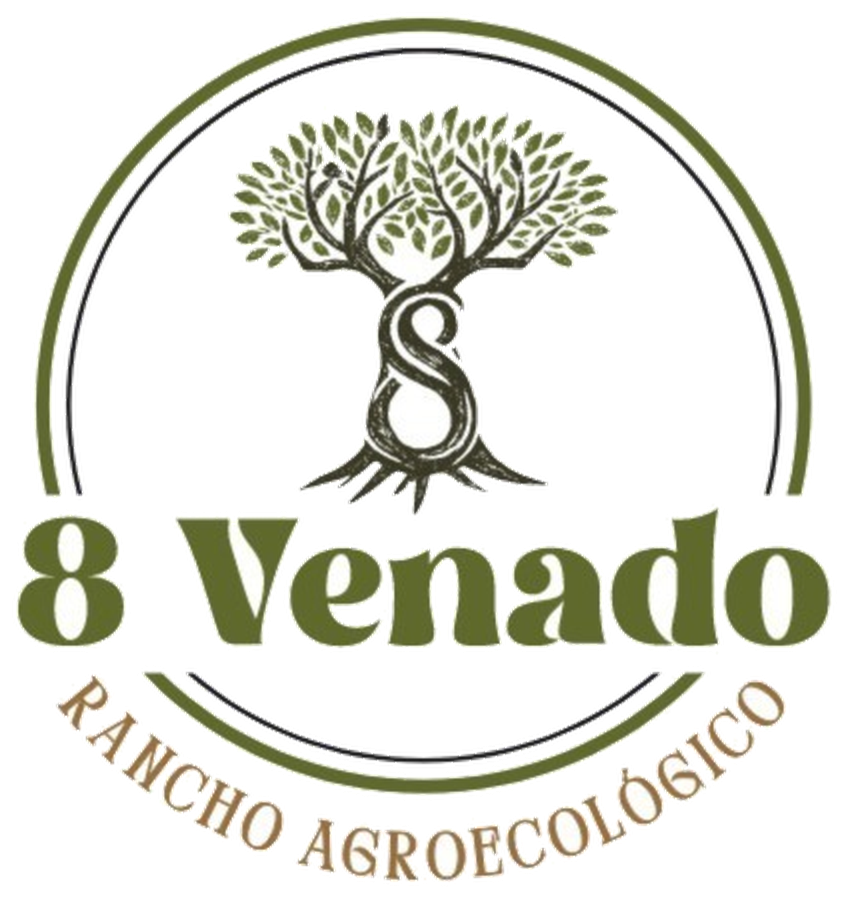 8 Venado